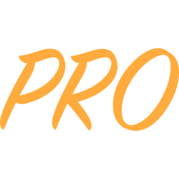 logo ProThesisWriter.com
